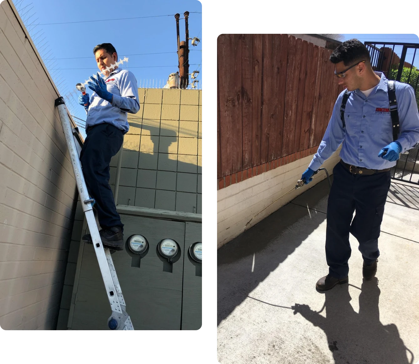 Technician spraying pesticide on concrete